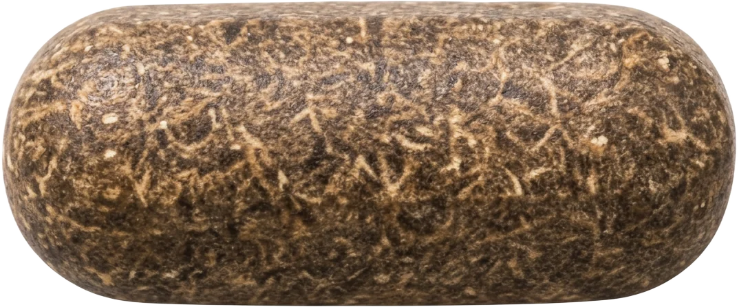 Black Garlic – Immunforsvar – one tablet lying down
