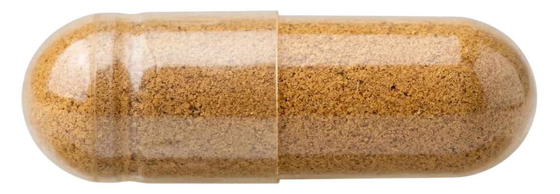 Chaga Gold – Immunforsvar – one capsule standing up